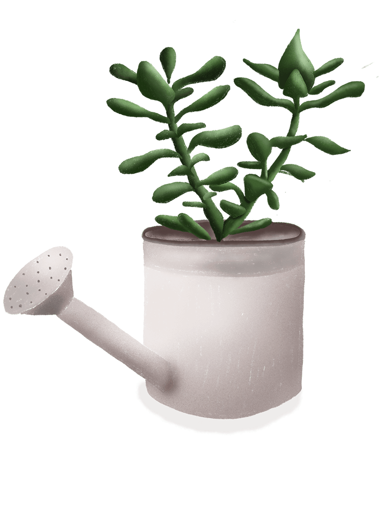 Arrosoir plante