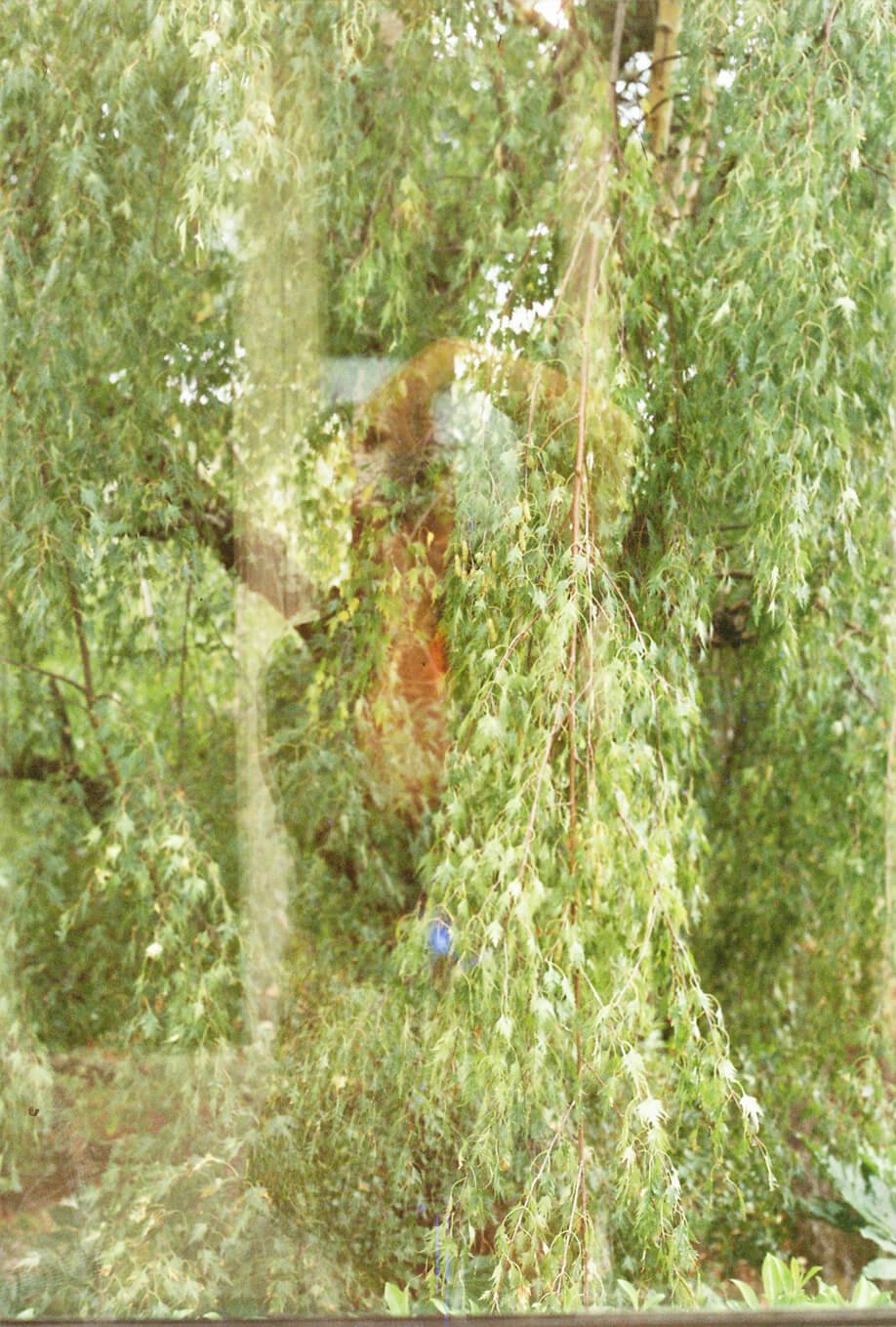 photographe argentique maternité à Nantes 